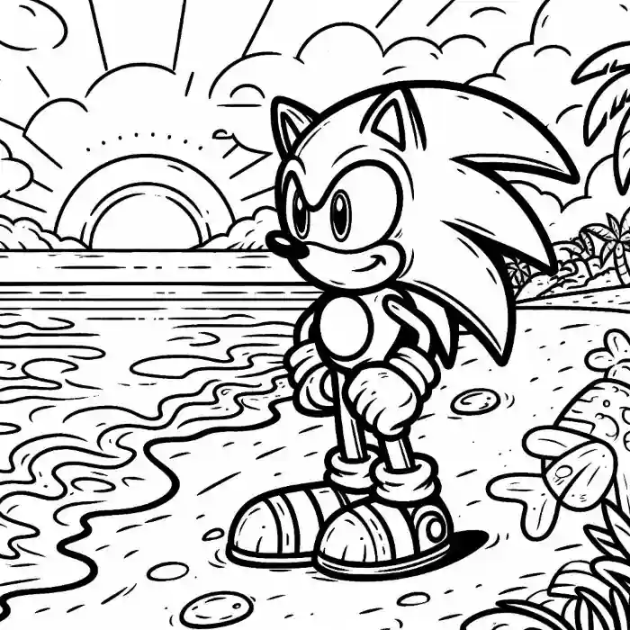 Imagen de Sonic viendo puesta de sol para pintar