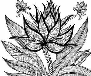 Dibujo de planta tropical para colorear